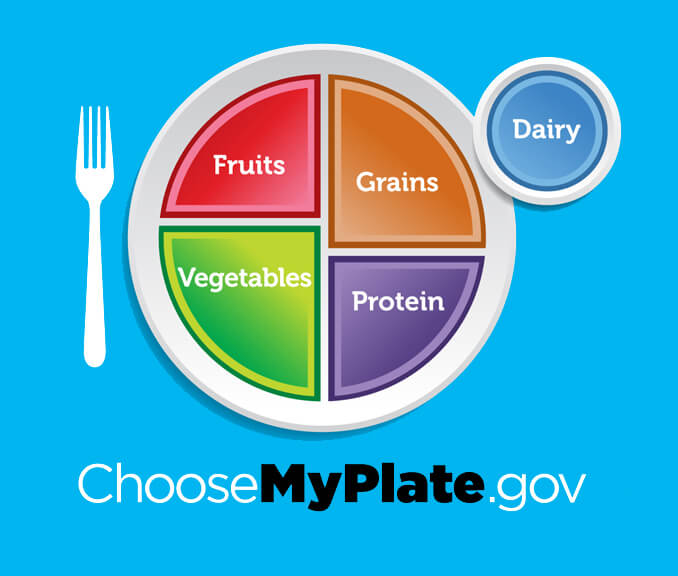 Choose my plate.gov graphic which shows the food groups fruits, grains, vegetables, protein and dairy